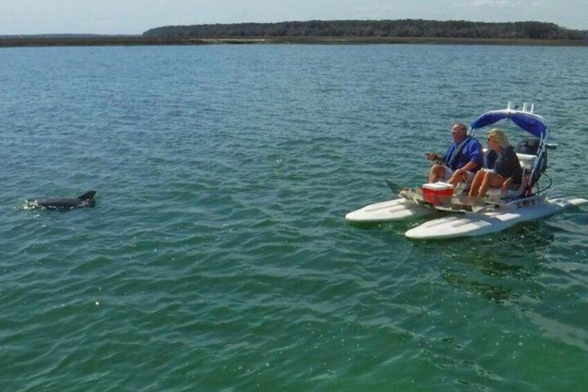 Hilton Head Creek Cat Tour