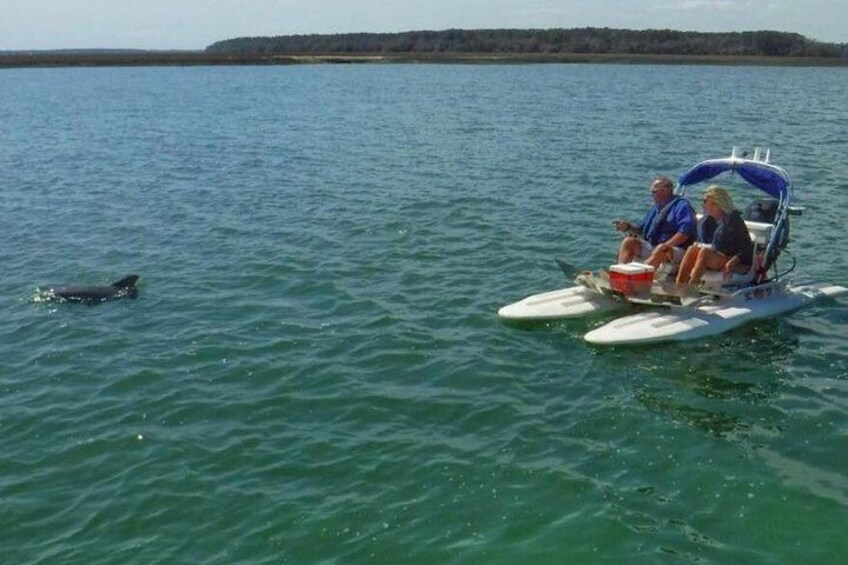 Hilton Head Creek Cat Tour