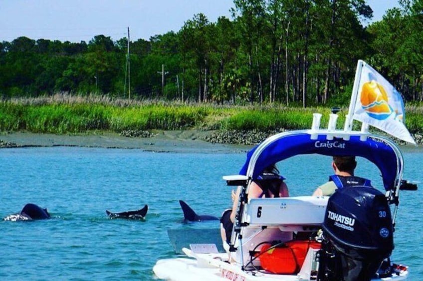 Hilton Head Creek Cat Tour