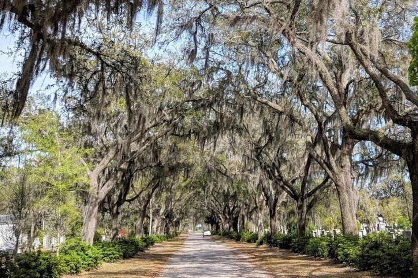 Custom Savannah Private Tour