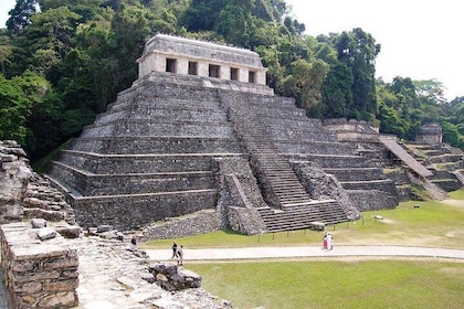PALENQUE RUINS, AGUA AZUL and MISOL-HA (Private from Palenque or San Cristo...