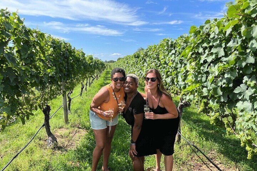 Visiting the vineyards