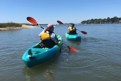 Hilton Head Guided Kayak Eco Tour