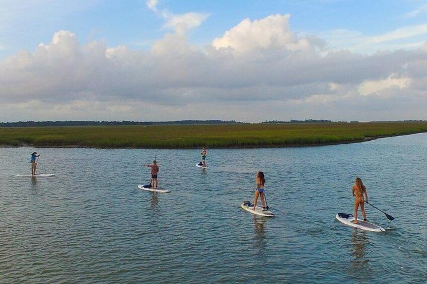 Charleston Stand-Up Paddleboard Eco Tour