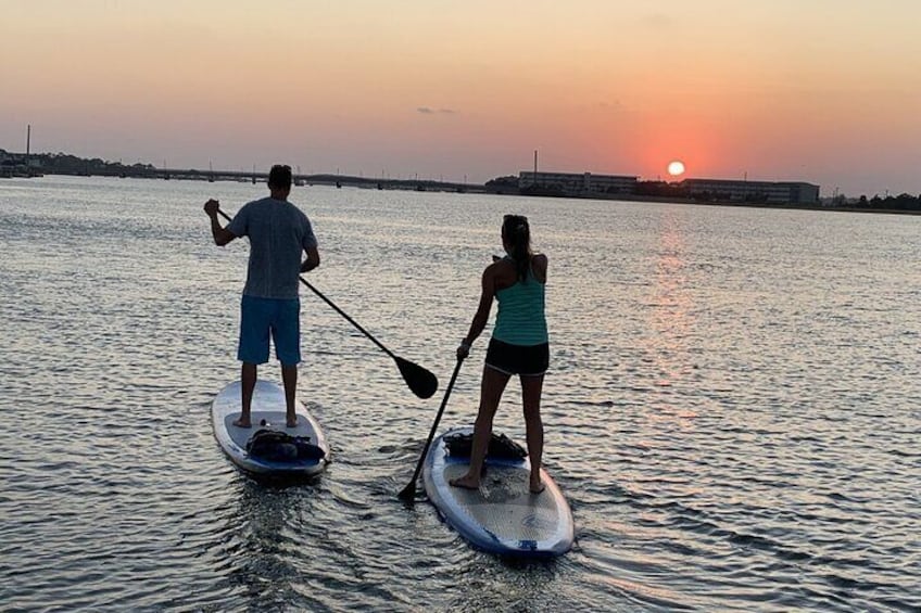 Charleston Wildlife Stand up Paddleboard Tour