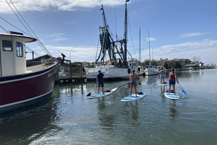 Charleston/Folly Beach Stand up Paddleboard Tour