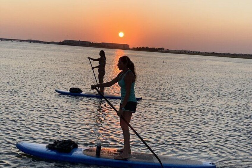 Charleston Wildlife Stand up Paddleboard Tour