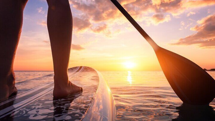 Charleston/Folly Beach Stand up Paddleboard Tour