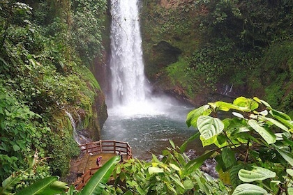 La Paz Waterfall Gardens & Wildlife Refuge tour di un giorno da San Jose