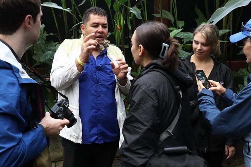 La Paz Waterfall Gardens and Wildlife Refuge Tour from San Jose