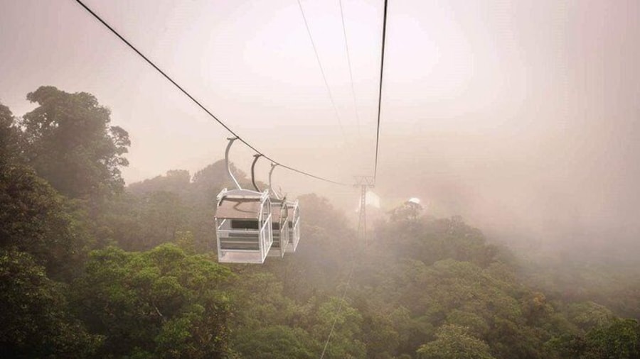 Cloud Forest tour from San Jose