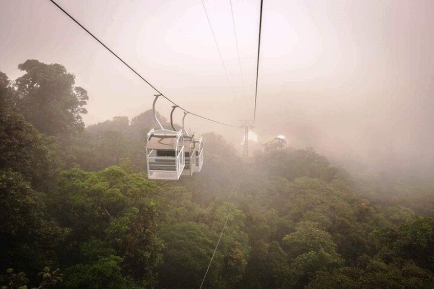 Cloud Forest tour from San Jose