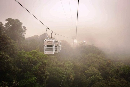Monteverde Sky Tram & Hanging Bridges Cloud Forest Tour from San Jose