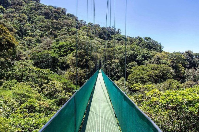 Monteverde Hanging Bridges