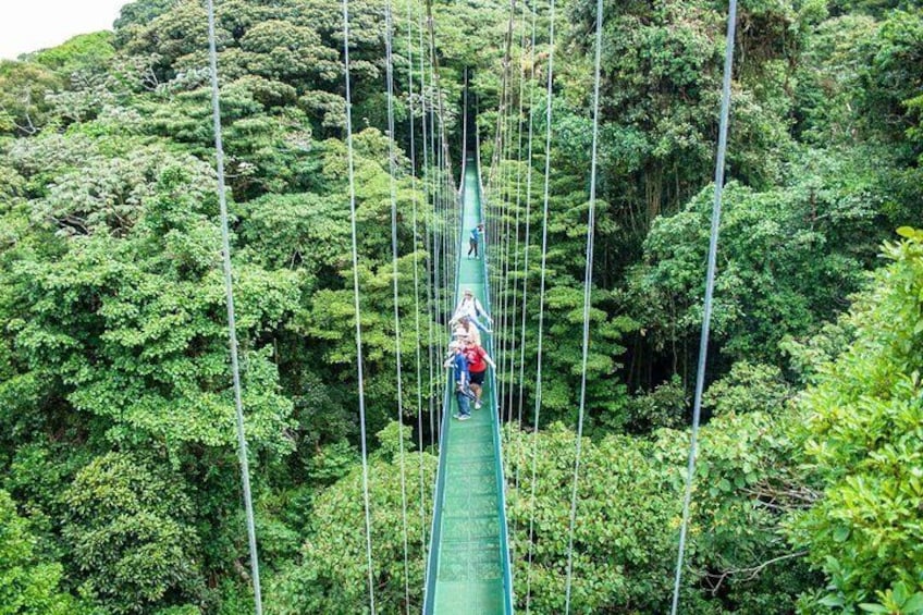 Monteverde hanging bridges tour