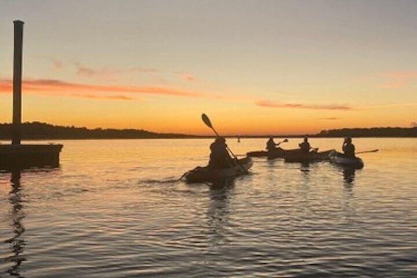 Hilton Head Morning Kayaking & Coffee Guided Tour