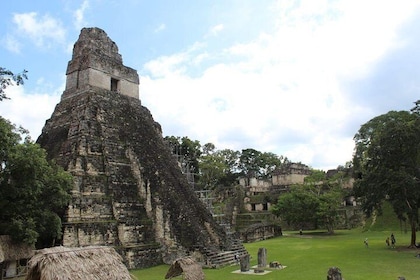 Tikal Exclusive Full Day Tour from Belize Border