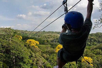Full day zip line tour with butterfly and hanging bridges near of San Jose