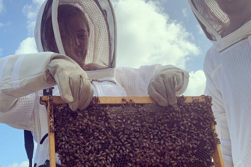 Reagan’s Honey Beekeeping Adventure