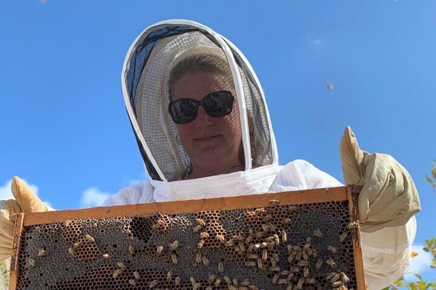 Reagan’s Honey Beekeeping Adventure