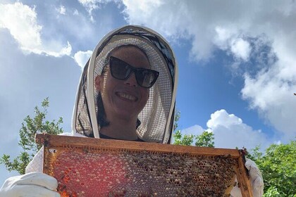 Reagan’s Honey Beekeeping Adventure