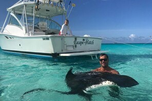 Private Charter 32ft Express Cruiser. Stingrays, Snorkelling, Starfish