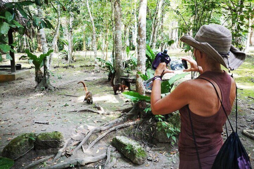 Tikal Full Day with Dedicated Exploration of the Archaeological Monuments.