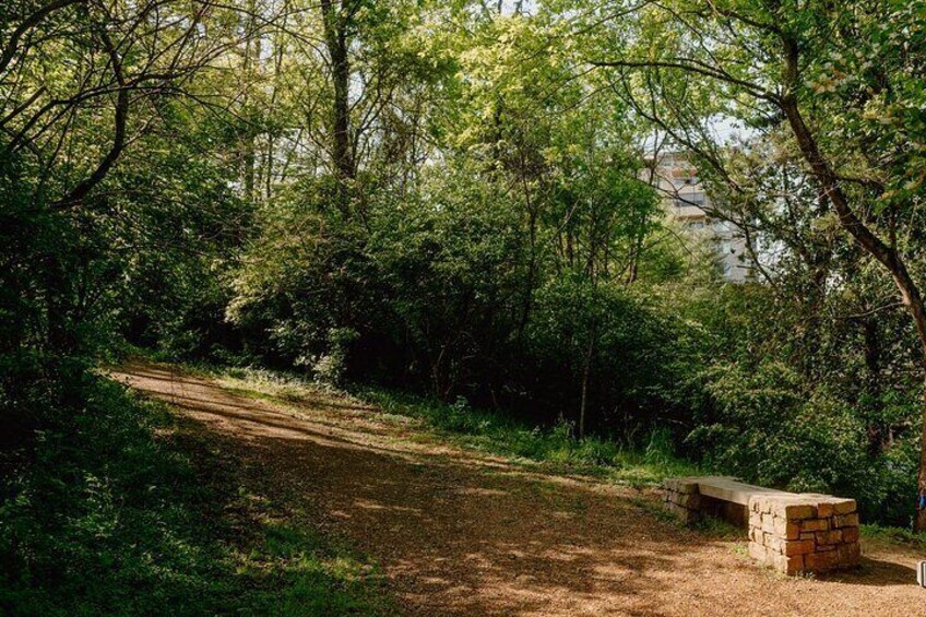Belle Meade Historic Site "Journey to Jubilee" Guided Tour