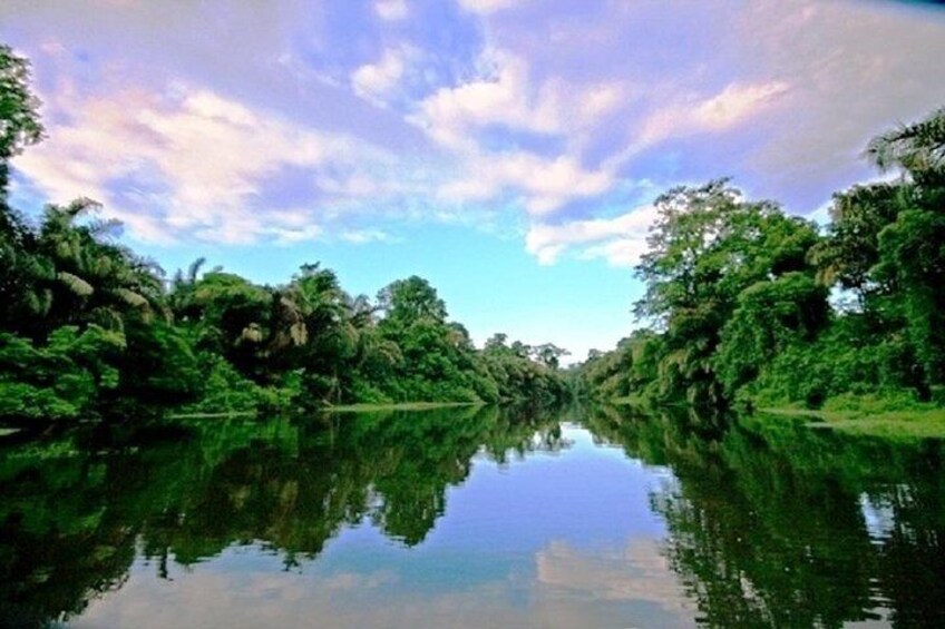 The Authentic One Day Tour to Tortuguero National Park