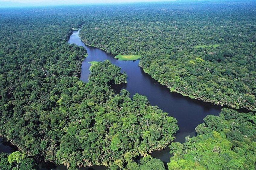 Tortuguero National Park - Canals