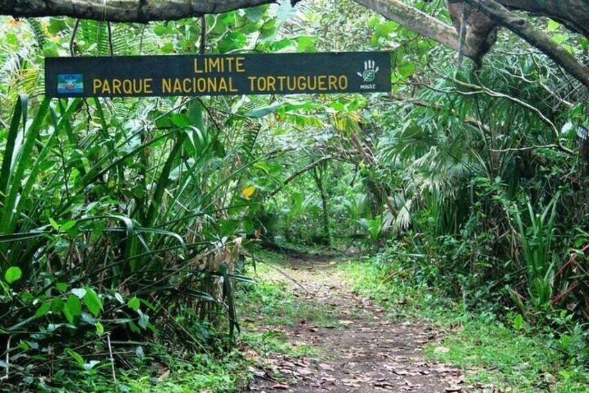 The Authentic One Day Tour to Tortuguero National Park