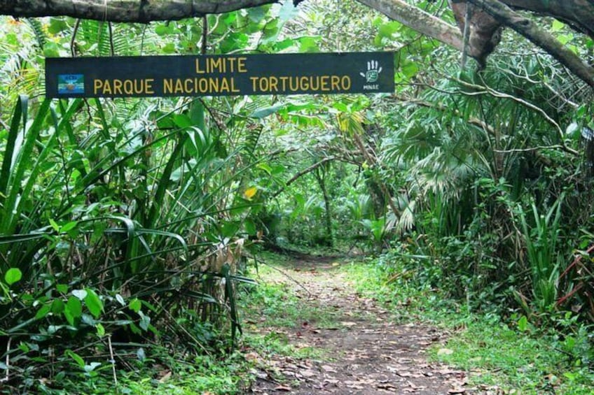 The Authentic One Day Tour to Tortuguero National Park