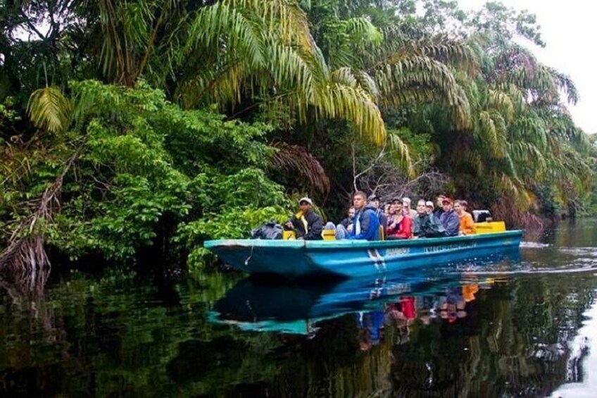 The Authentic One Day Tour to Tortuguero National Park