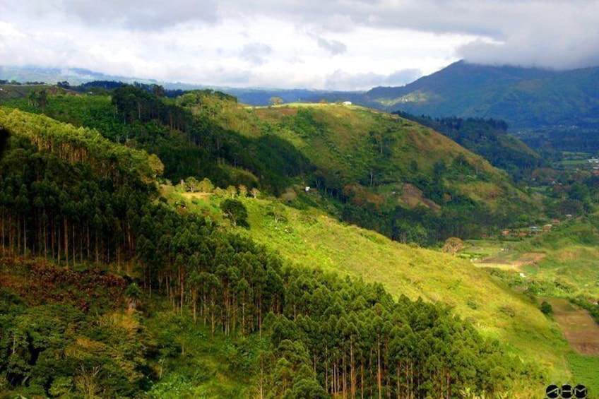 Day Trip from San Jose to Irazu Volcano National Park, Cartago City and Orosi Valley