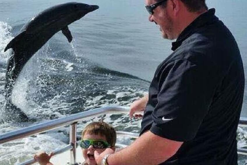 Alabama Gulf Coast Dolphin Cruise