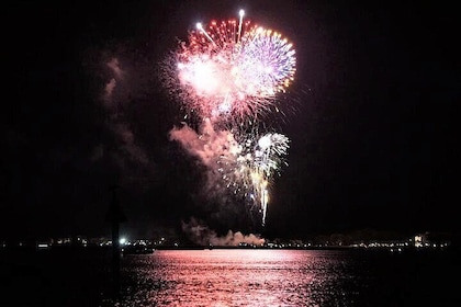 Hilton Head Dolphin Watching Cruise with Fireworks Display