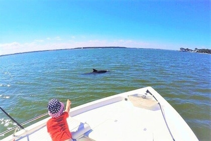 Private Hilton Head Dolphin Watching Tour with Waterfront Dining Stops 