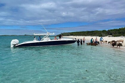 Boat Charters & Excursions 
