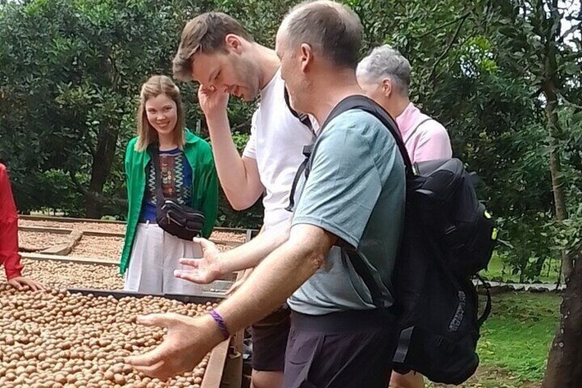 Coffee & Macadamia Fincas Tour from La Antigua