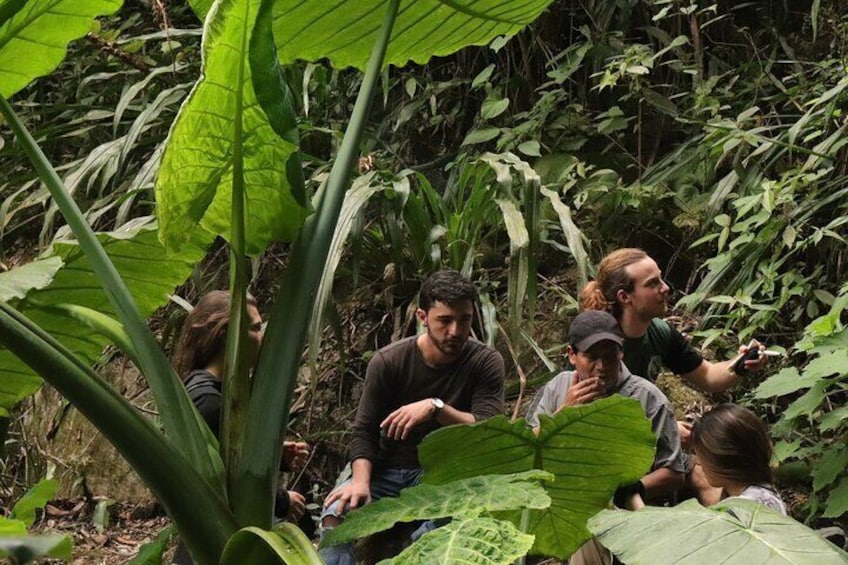Waterfall Hike