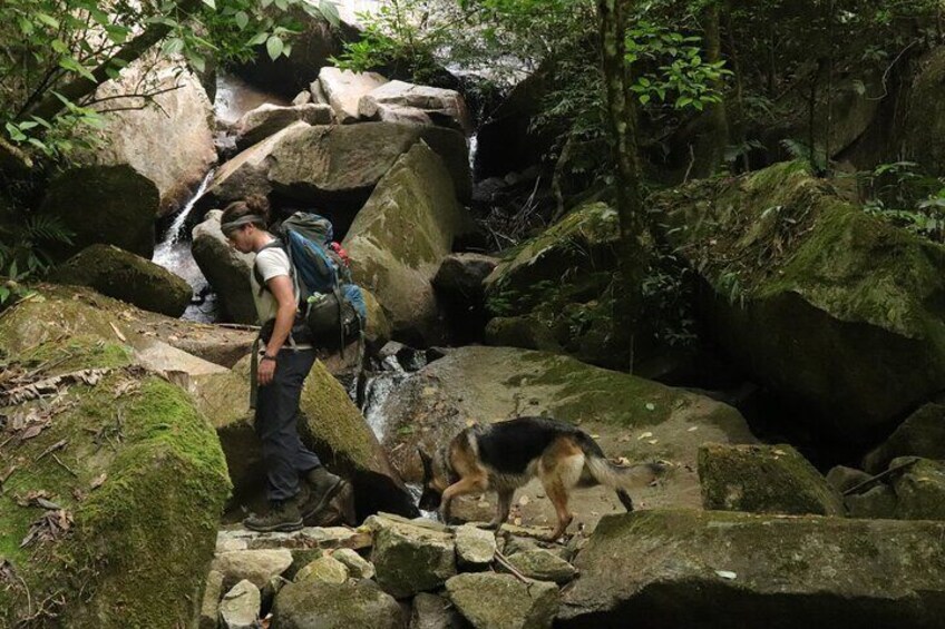 Waterfall Hike