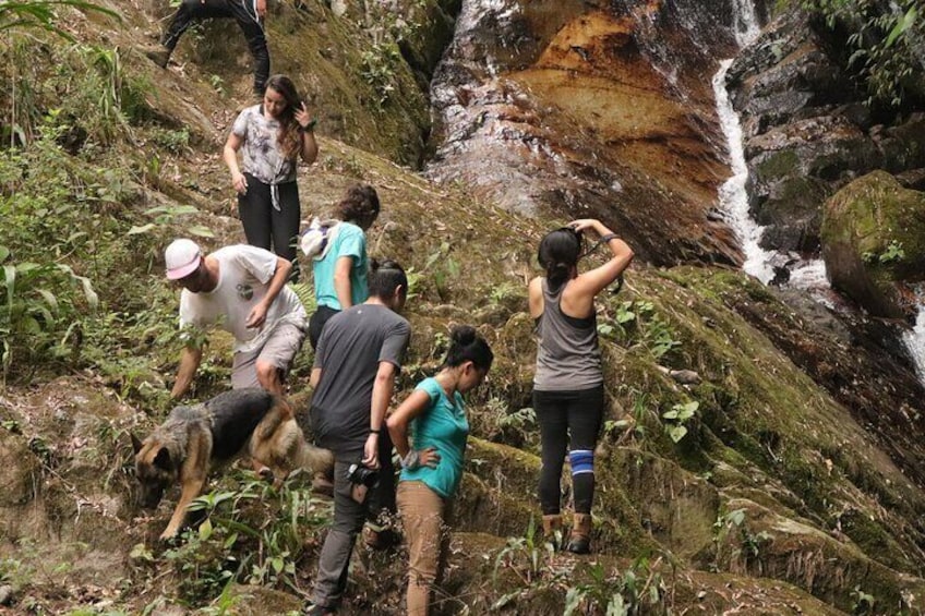 Waterfall Hike