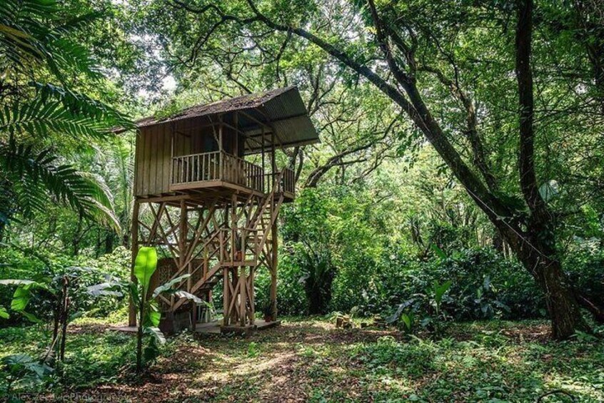 Atitlan Hiking and Birding - Day tour from Antigua