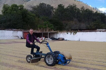 Villages And Plantations Around Antigua Guatemala