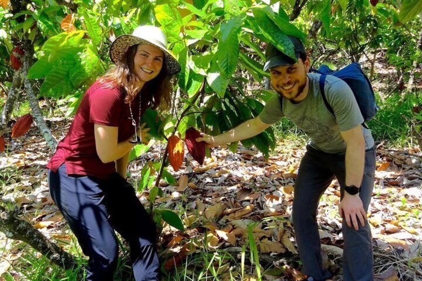 This experience aims to rescue the dedication and effort of the people who work on different farms, cultivating and harvesting the basic products of the coastal region.