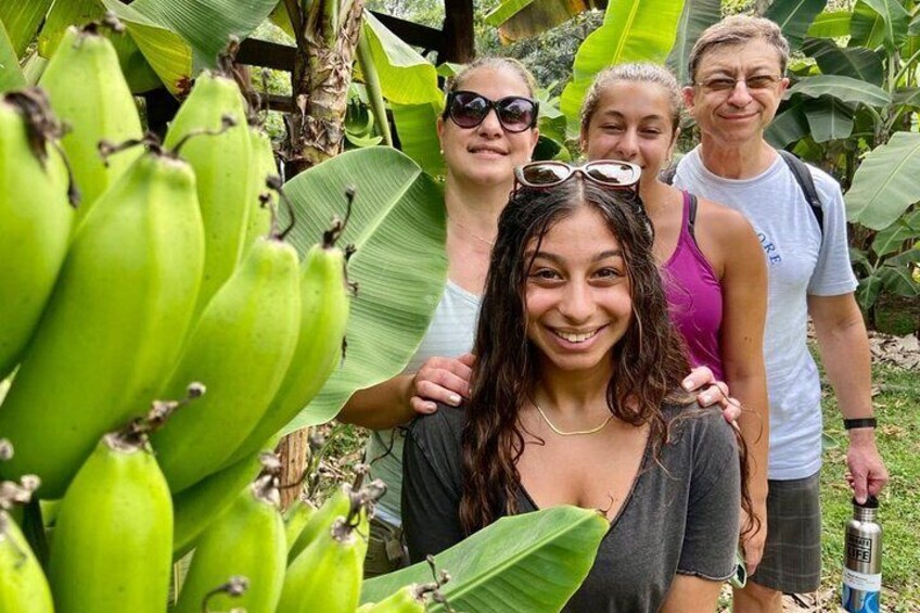 Between fruits and chocolate we live a unique experience learning about crops and crops and the magical transformation of the cocoa fruit into an elegant and nutritious chocolate. 