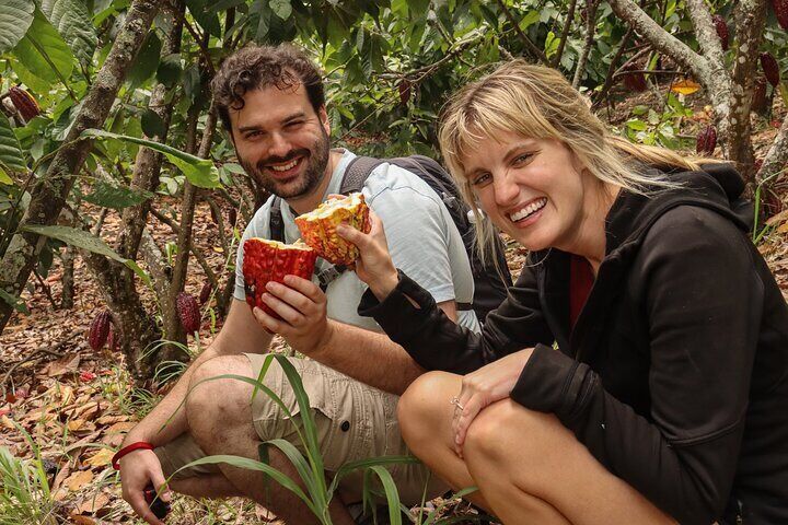 Half Day Tour Cocoa Farm Fruits and Plantations from Guayaquil