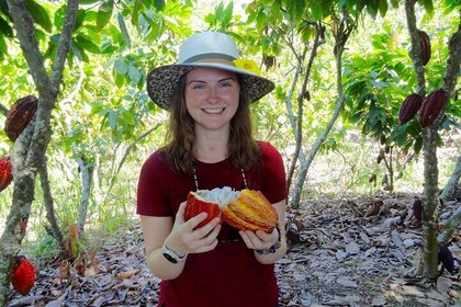 Half Day Tour Cocoa Farm Fruits and Plantations from Guayaquil