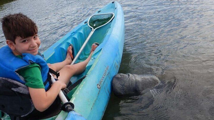 Manatee and Dolphin Kayaking | Wildlife Refuge