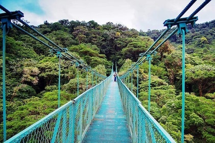Monteverde Hanging Bridges Day Trip from San Jose